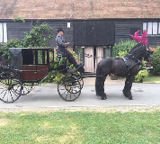 Horse and Carriage Hire in Belfast
